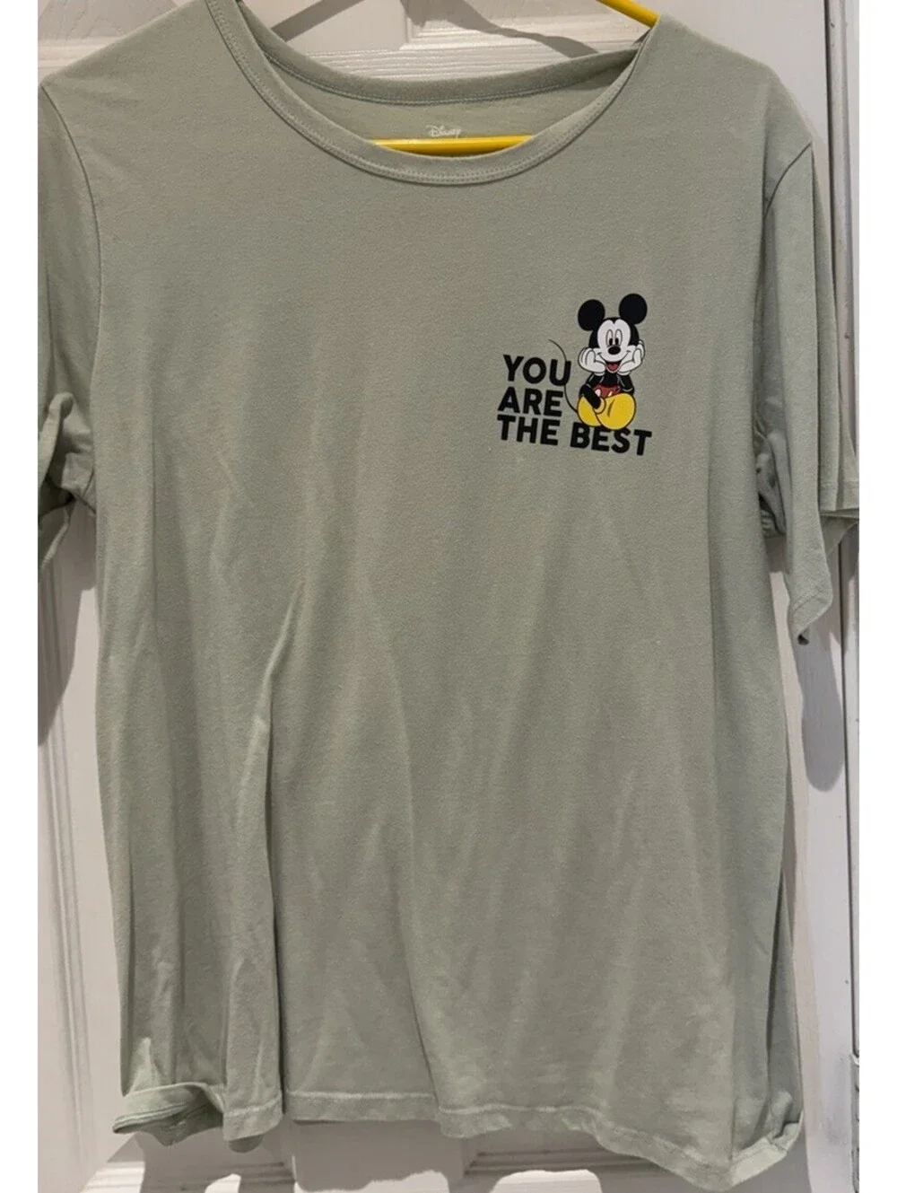 Disney Mickey Mouse Women’s Mint Green Lightweight 1x